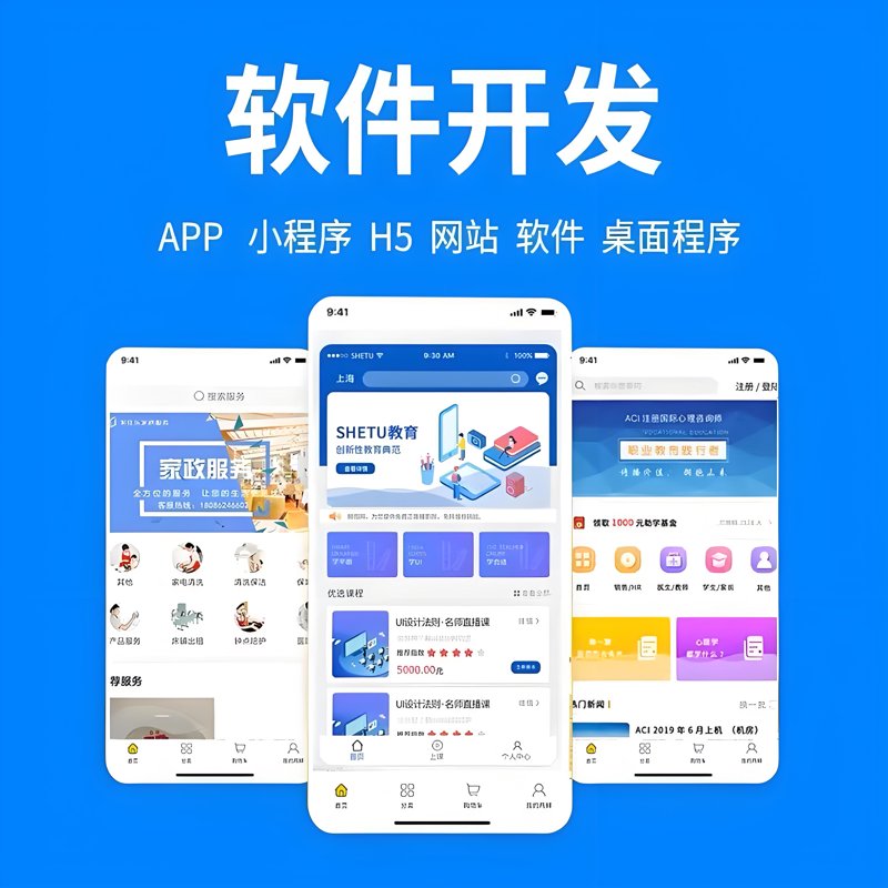 上海软件开发：创新引领未来
